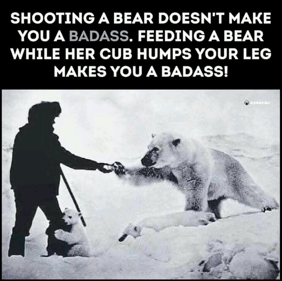 Meet your Posher, Jose - Picture 1 of 1